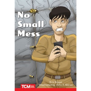 No Small Mess - (Decodable Books: Read & Succeed) by  Eric Braun (Paperback) - 1 of 1