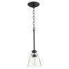 Quorum Lighting Dunbar 1-Light Pendant, Noir Finish, Glass Shade - 3 of 4