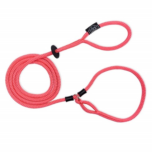Harness Lead No-pull One-piece Dog Harness And Leash For All Breeds And  Sizes (medium/large, Pink) : Target