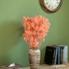 Uniquewise Preserved Real Floral Stems Chic Vase Fillers & Accents for Bouquets Centerpieces - 2 of 4