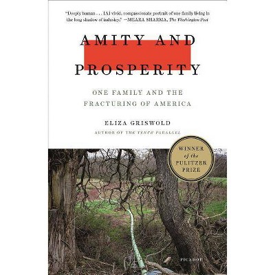 Amity and Prosperity - by  Eliza Griswold (Paperback)