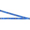 Sesame Street Cookie Monster Reversible ID Lanyard Badge Cookie Rubber Pendant - 3 of 4