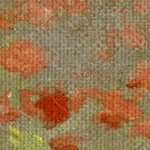 wild poppies near argenteuil