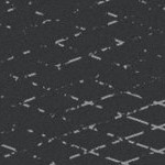 stone cold steve austin