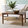 Dino 1 Shelf Coffee Table - COF2313 - Safavieh - 2 of 4