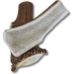 WhiteTail Naturals 2-Pack XL Split Elk Antlers for Large Dogs – Long-Lasting, Natural Chews with Marrow – Odor-Free & USA Made - 1 of 4