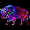 Junior's Design By Humans Rainbow Buffalo By ZeichenbloQ T-Shirt - 2 of 3