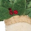 Park Designs White Socks Felt Ornament Set of 4 - 3 of 3