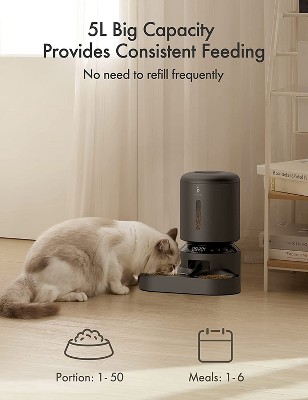 Dual Tray Black Stainless Steel Automatic Pet Feeder