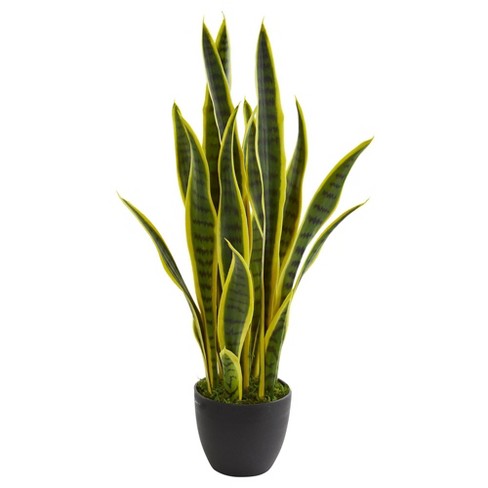 26" x 8" Artificial Sansevieria Plant in Pot - Nearly Natural - image 1 of 3