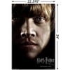 Trends International Harry Potter and the Deathly Hallows: Part 1 - Ron One Sheet Unframed Wall Poster Prints - 3 of 4