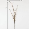 Sullivans Artificial Pussywillow Stem 44" Green - 4 of 4