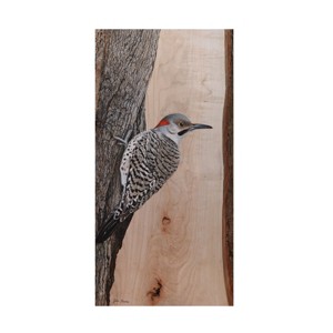 Jim Brune 'Clinging Northern Flicker' Canvas Art - 1 of 4