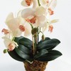 Plum & Post Phalaenopsis Orchid Artificial Plant Drop-In - 3 of 4