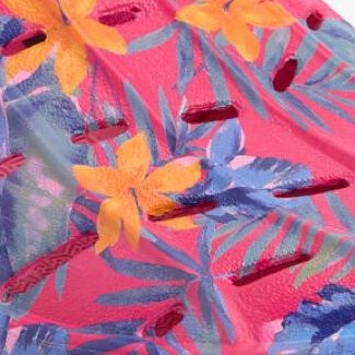 hula palm