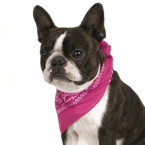 Balec Set of 6 Paisley Cotton Bandanas for Dogs Fits Small, Medium & Large - 1 of 4