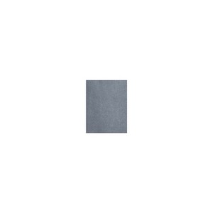 LUX 105 lb. Cardstock Paper 11" x 17" Anthracite Metallic 50 Sheets/Pack (1117-C-M05-50) - 1 of 1
