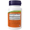 Garlic Oil 1500mg by Now Foods  -  100 Softgel - 2 of 2