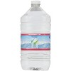 Crystal Geyser Nat Alpine Water - 1 Gallon Bottle (pack Of 6) - 2 of 3