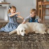 Hallway Runner Rug Machine Washable Vintage Rug Indoor Carpet - 4 of 4