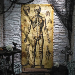 ATC Human Anatomy Door Curtain Halloween Decoration - Off-White - 1 of 2