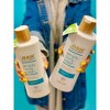 Raw Sugar Vanilla Bean and Sugar Simply Body Wash - 25 fl oz - image 3 of 4