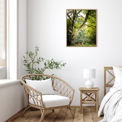 Lush Green Tree and Bench Canvas Wall Art with Polystyrene Frame
