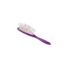 Bass Pet Brushes Style & Detangle Pet Brush with 100% Premium Alloy Pin High Polish Acrylic Handle Small Oval - 3 of 4