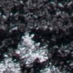 black/ivory