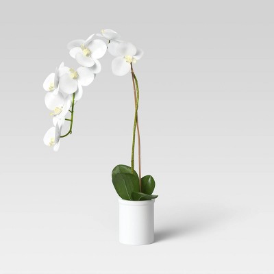 White : Fake Plants & Artificial Plants for Indoors : Target