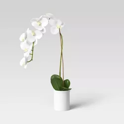 Small Potted Orchid - Threshold™