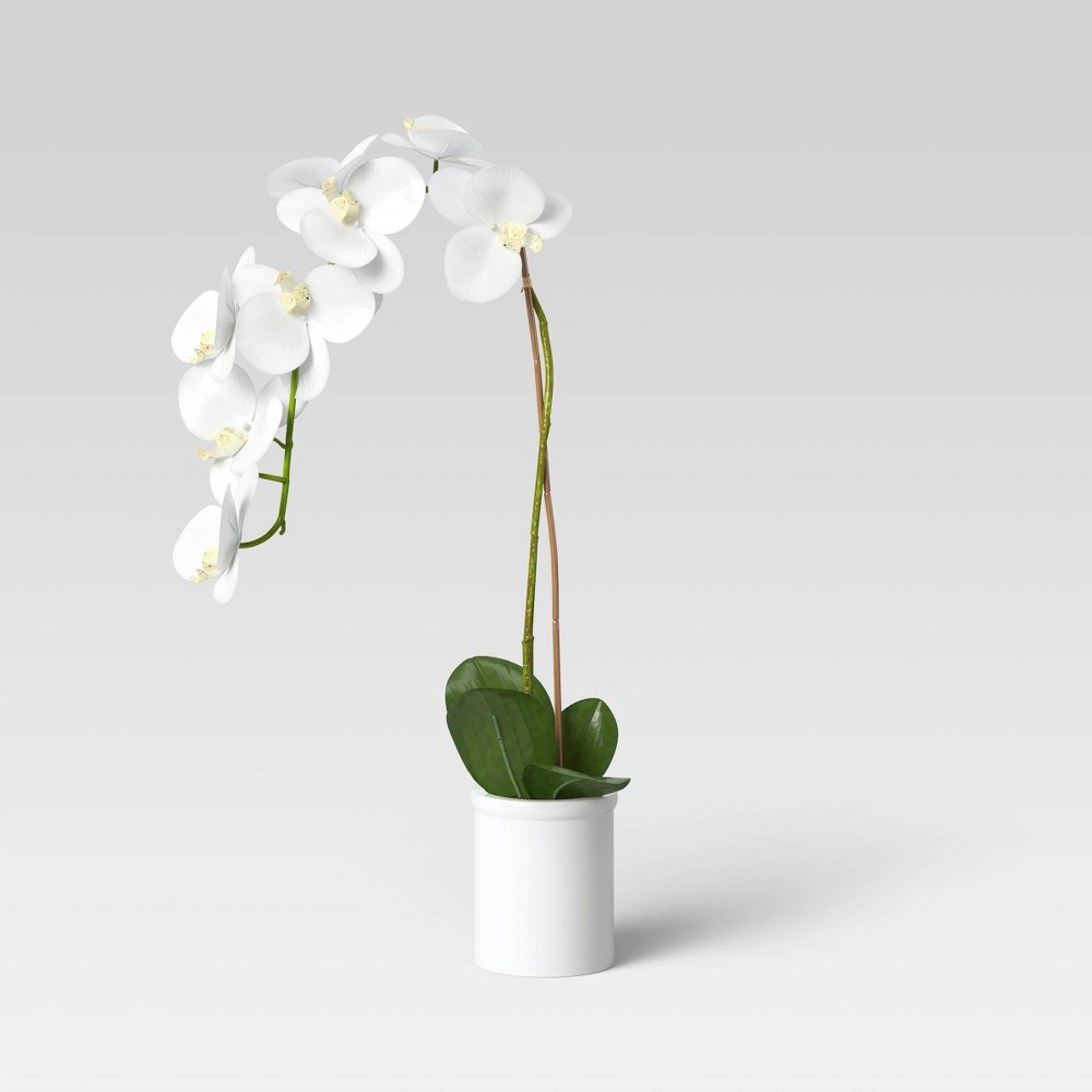 Photos - Garden & Outdoor Decoration Small Potted Orchid - Threshold™
