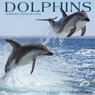 2022 Wall Calendar Dolphins - Willow Creek Press