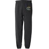 New York City College Of Technology Primary Logo Jogger Sweatpants - 2 of 4