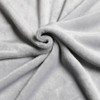 50"x70" Oversized Silvadur Anti-Microbial Luxury Velvet Throw Blanket - Sutton Home Fashions - 4 of 4
