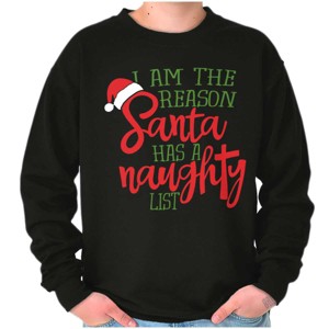 The Reason Santa Has A Naughty List Sweatshirt for Men or Women Brisco Brands - 1 of 4