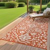 Outdoor Rug Vintage Rug Waterproof Reversible Plastic Straw Rug for Patio Camping RV Balcony Backyard - 3 of 4