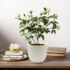 LuxenHome Round Tapered 9.2" H House Planter, Indoor/Outdoor White - image 4 of 4