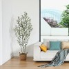 Kazeila 6FT Artificial Plastic Olive Tree in Pot, Pre Potted Faux Greenry Olive Tree for Home Decor - 4 of 4