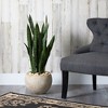 Nearly Natural 32-in Sansevieria Artificial Plant in Sand Colored Planter - 3 of 3