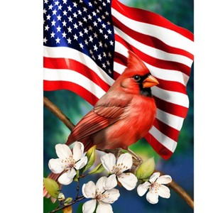 Briarwood Lane Spring Garden Flag 12x18 For Outdoor American Floral Cardinal For Spring Garden Flag Flags For Outside - 1 of 4