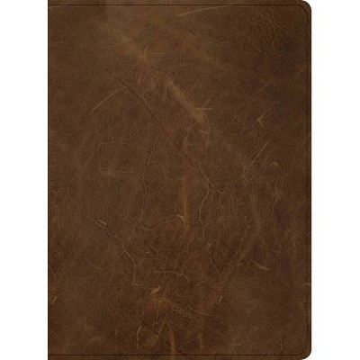 CSB Men of Character Bible, Brown Genuine Leather - by  Csb Bibles by Holman & Gene A Getz (Leather Bound)