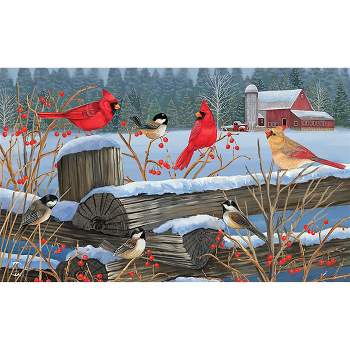 Toland Home Garden Winter Door Mat Snowy Cardinals And Chickadees 800525  18x30 Inch Winter Door Mat – Toland Flags