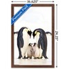 Trends International A Group Of Emperor Penguins Framed Wall Poster Prints - 3 of 4