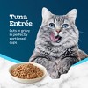 Blue Buffalo Tastefuls Savory Singles Adult Cuts In Gravy Wet Cat Food Tuna Entrée Perfectly Portioned Cups - 2.6oz - 4 of 4