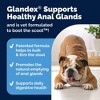 Vetnique Glandex Advanced Vet Strength Anal Gland Duck and Bacon Flavor Soft Dog Chews - 16.9oz/60ct - 4 of 4