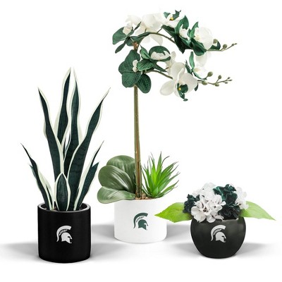 Forever Leaf University of Alabama Faux Snake Plant, Indoor Artificial  Plant for Home Decor