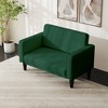Kayamas 70" Small Loveseat Sofa Small Couch for Living Room, Comfy Love Seat with Removable Washable Cover and Solid Wood Frame - 4 of 4