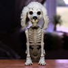 Halloween Poodle Dog Skeleton Decoration, Plastic Animal Bones Prop- Party Decor, Haunted Houses- Sitting Puppy Statue with Furry Ears & Moving Limbs - 2 of 4