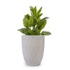Kumasinova Ceramic Planters with Drainage Hole,Modern Indoor Outdoor Flower Pots for Patio,Garden,Windowsill,Balcony Decor - 2 of 4